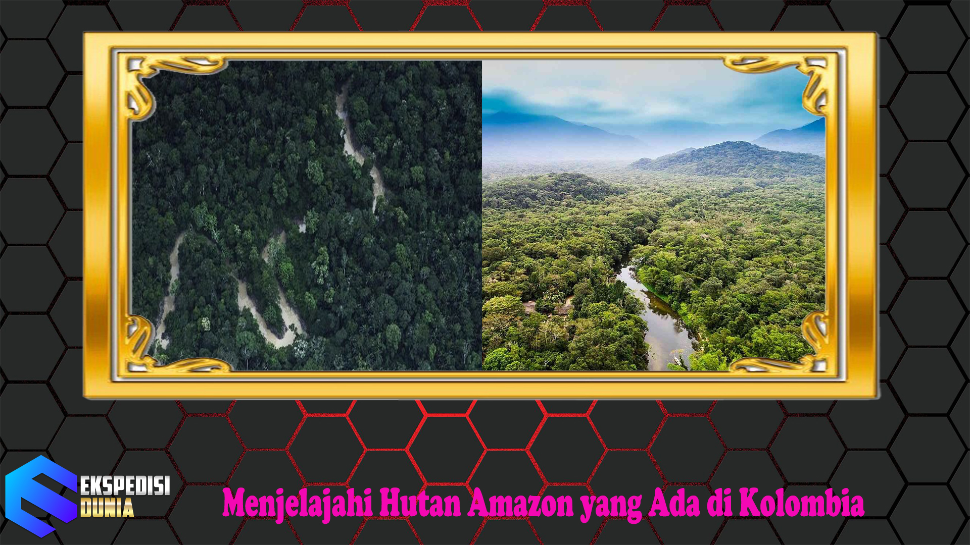 Menjelajahi Hutan Amazon yang Ada di Kolombia